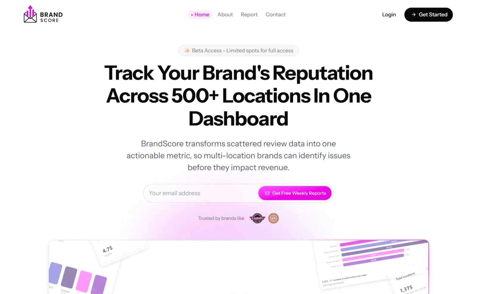 BrandScore preview 1
