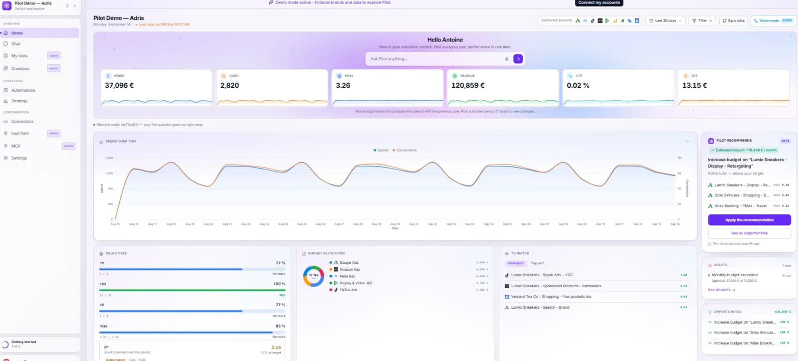 Pilot - Manage your Paid ad campaigns with AI preview 1