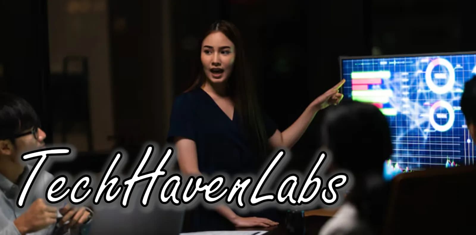 TechHavenLabs preview 1