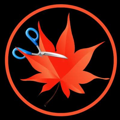 Easy Cut Studio