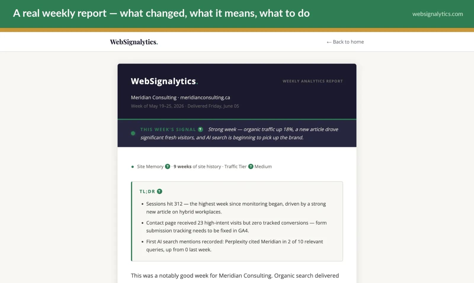 WebSignalytics — Your website analytics, interpreted. Not preview 2