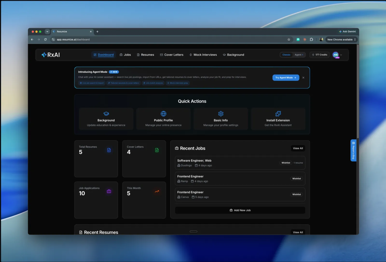 ResumizeAI: AI Resume Builder, Portfolio & Optimizer preview 5