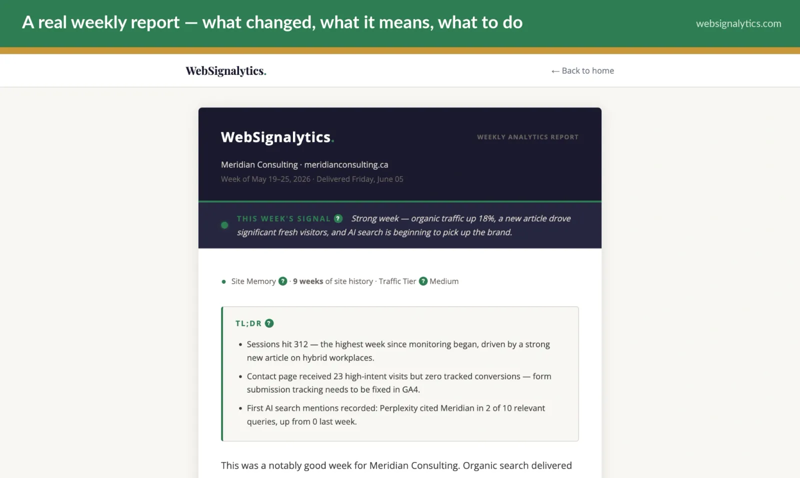 WebSignalytics — Your website analytics, interpreted. Not preview 2