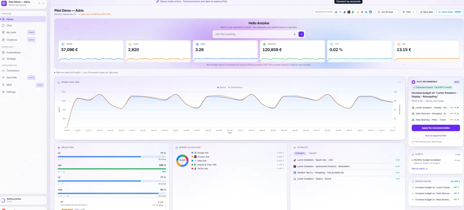 Pilot - Manage your Paid ad campaigns with AI preview 1