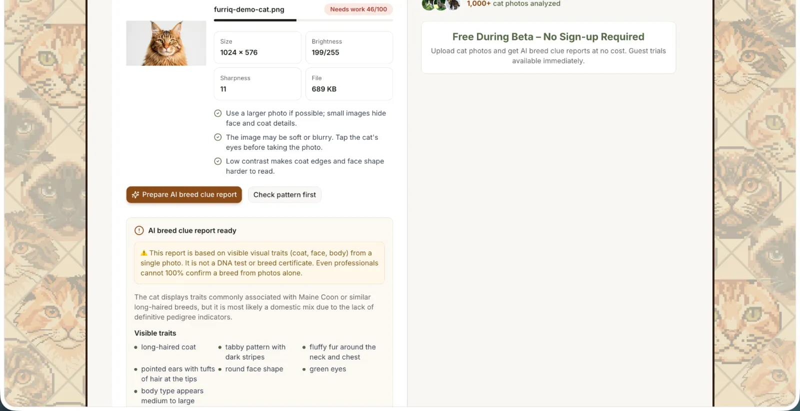 Furriq - Free AI Cat Breed Identifier preview 2